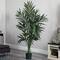 6ft. Potted Kentia Palm Silk Tree